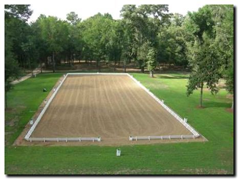 Реклама и продвижение строительства и обслуживания манежей и плацев