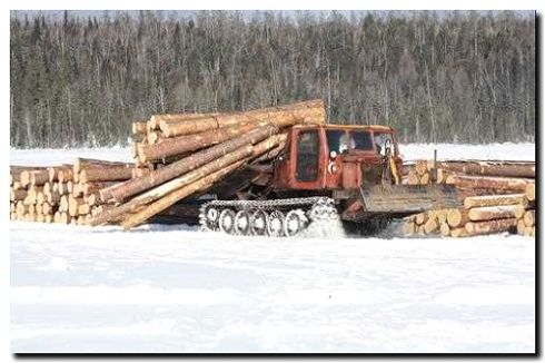 Реклама и продвижение трелевки и вывозa древесины