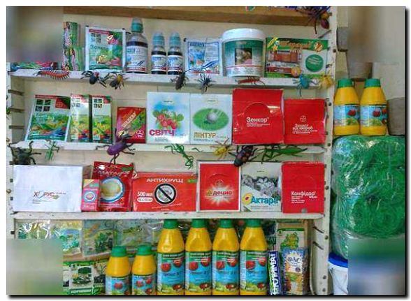 Реклама и продвижение удобрений и средств защиты растений