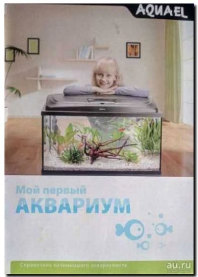 Реклама и продвижение услуг аквариумиста
