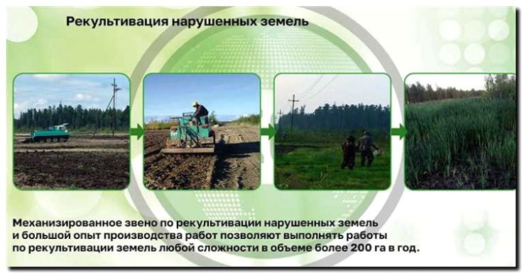 Реклама и продвижение услуг по рекультивации земель