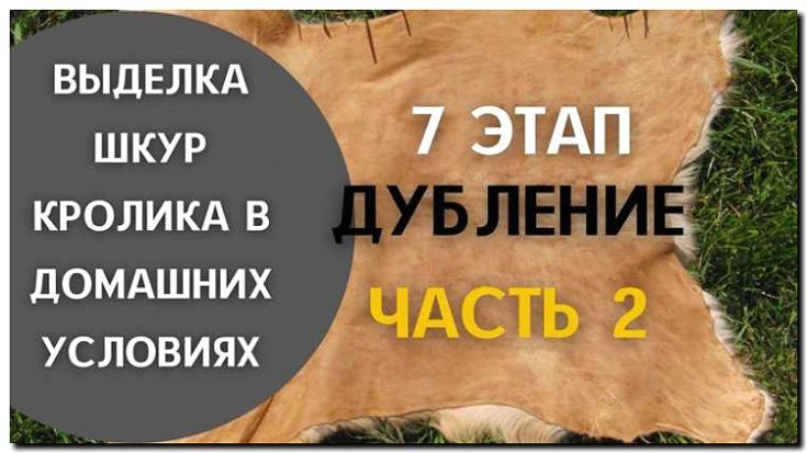 Реклама и продвижение услуг по выделке шкурок