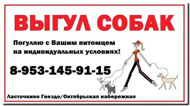 Реклама и продвижение услуг по выгулу собак