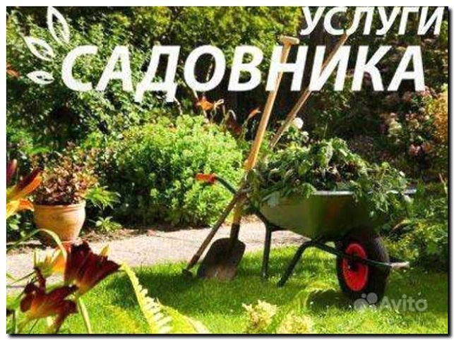 Реклама и продвижение услуг садовника