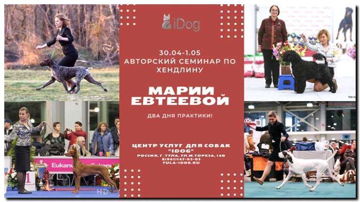 Реклама и продвижение услуг хендлера