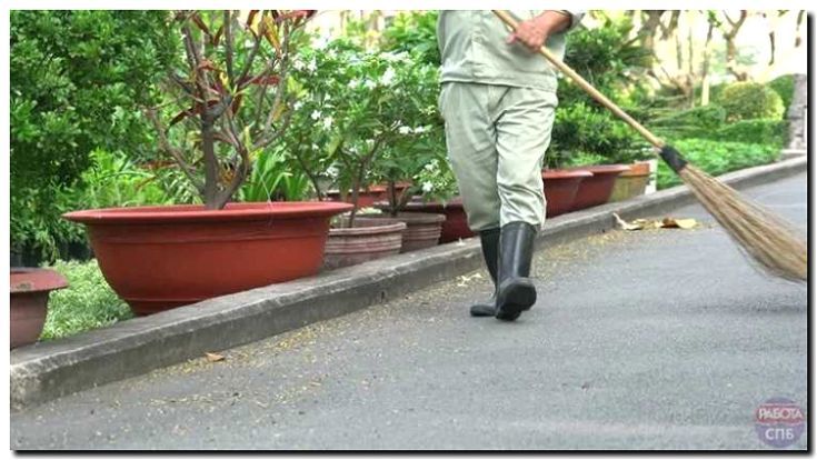 Реклама и продвижение услуги дворника и садовника