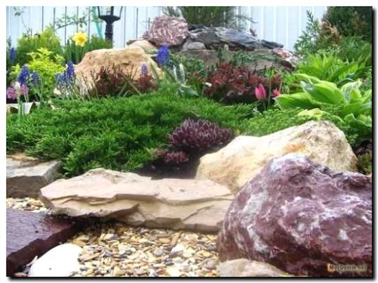 Реклама и продвижение устройства альпийских горок