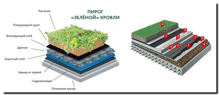Реклама и продвижение устройства зеленой кровли