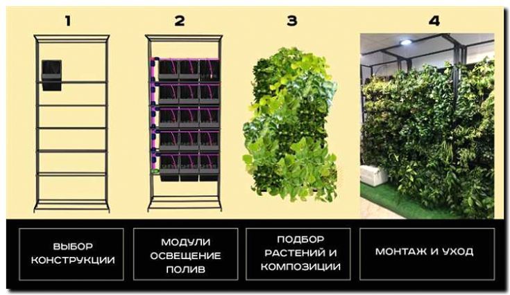 Реклама и продвижение вертикального озеленения