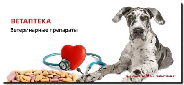 Реклама и продвижение ветаптеки