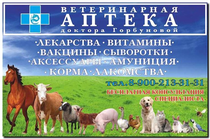 Реклама и продвижение ветеринарных клиник и фармацевтики