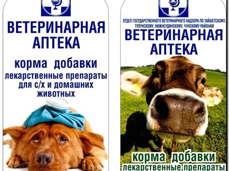 Реклама и продвижение ветеринарной клиники для с/х животных