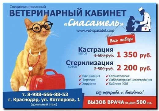 Реклама и продвижение ветеринарной клиники