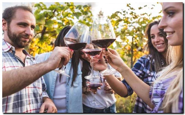 Реклама и продвижение винных туров с трансфером