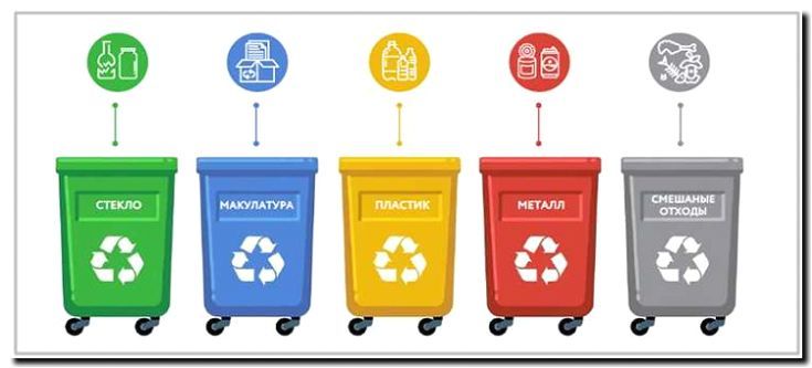 Реклама и продвижение вывоза пищевых отходов