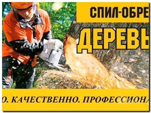 Реклама и продвижение вывоза веток и спила деревьев