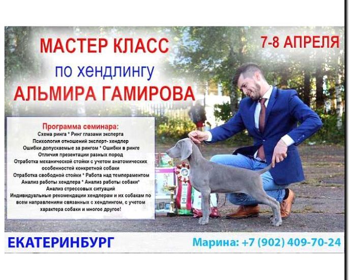 Реклама и продвижение хендлинга