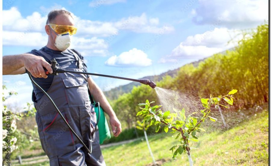 Реклама и продвижение химической обработки растений