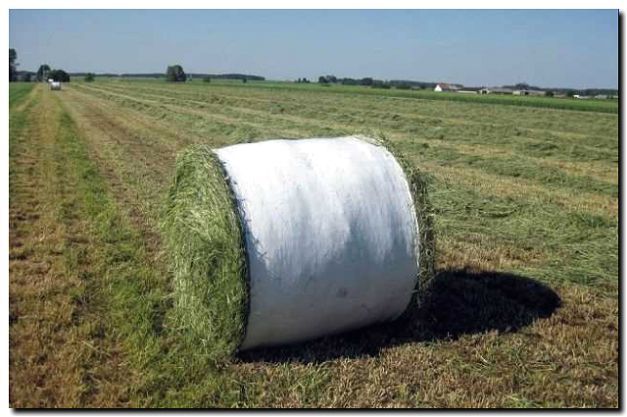 Реклама и продвижение заготовки сена и силоса