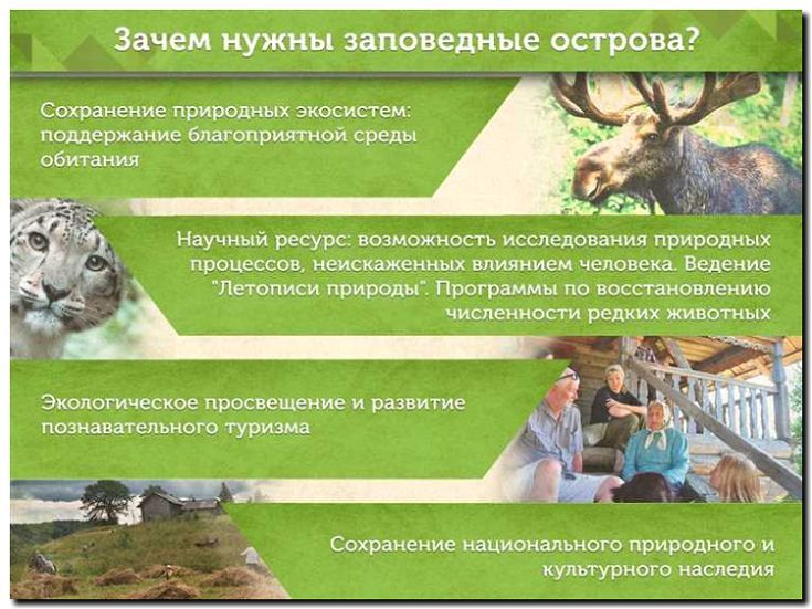 Реклама и продвижение заповедника или национального парка
