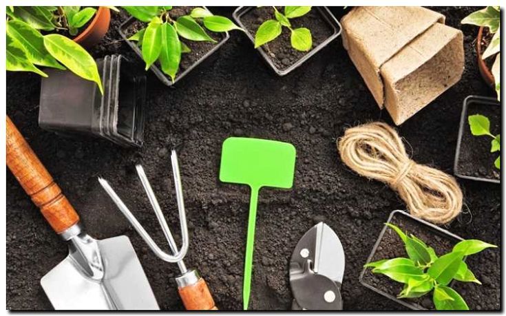 Реклама и продвижение заточки садового инвентаря