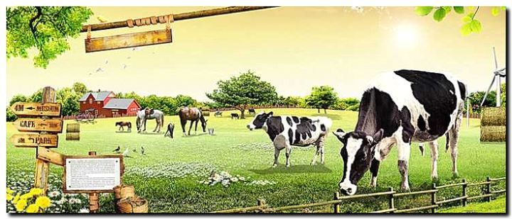 Реклама и продвижение животноводства (скот