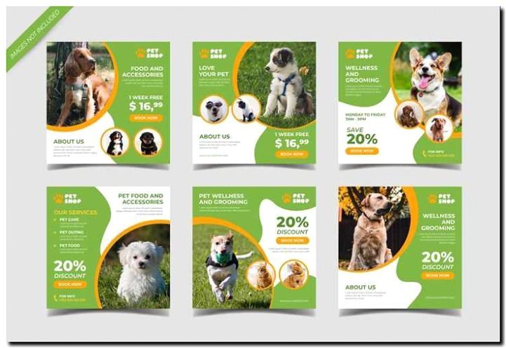 Реклама и продвижение зоомагазина