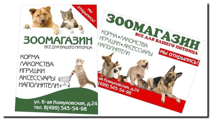 Реклама и продвижение зоомагазинов и товаров для животных